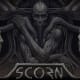 Scorn is self-descriptive.